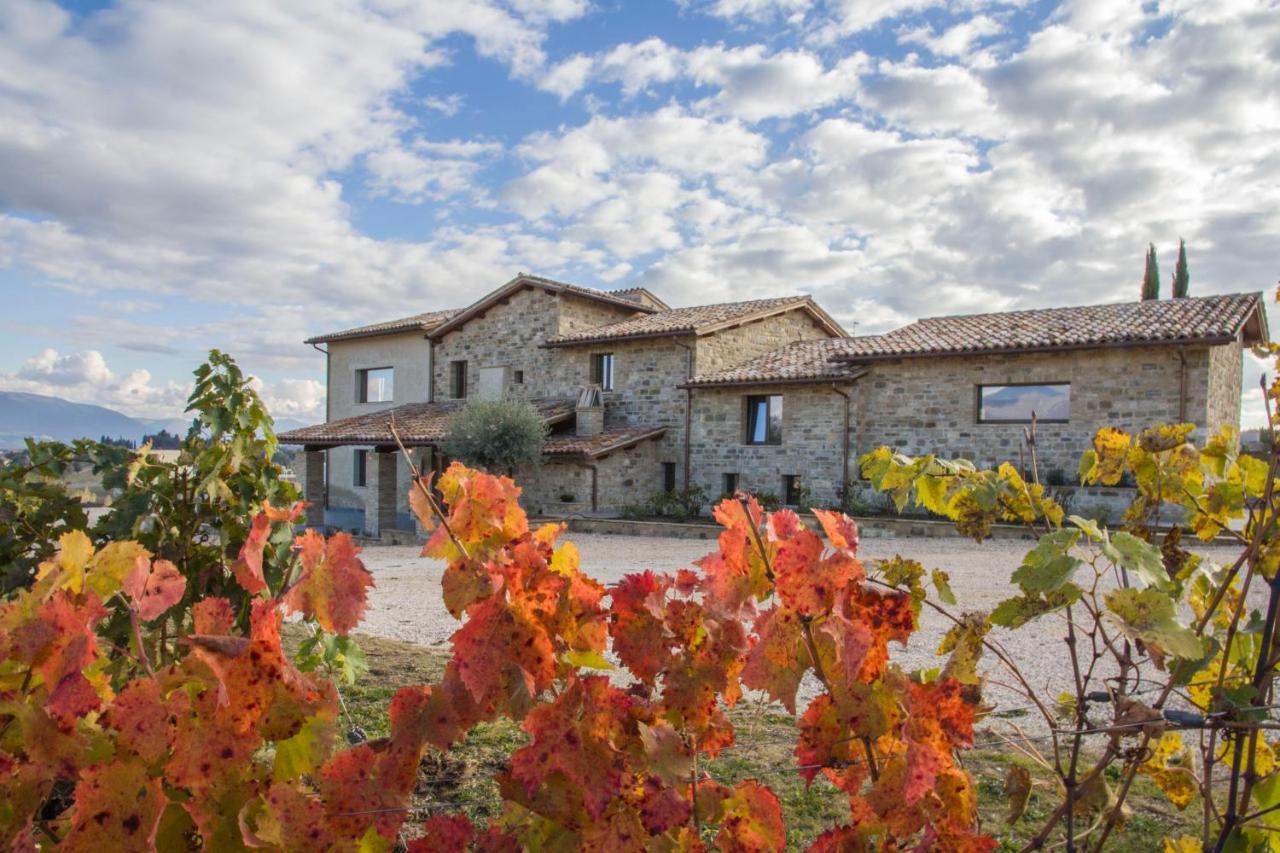 Fattoria Colsanto Villa Torre del Colle Eksteriør billede